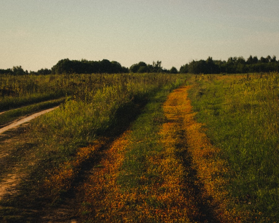 running route