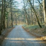 Photo running route