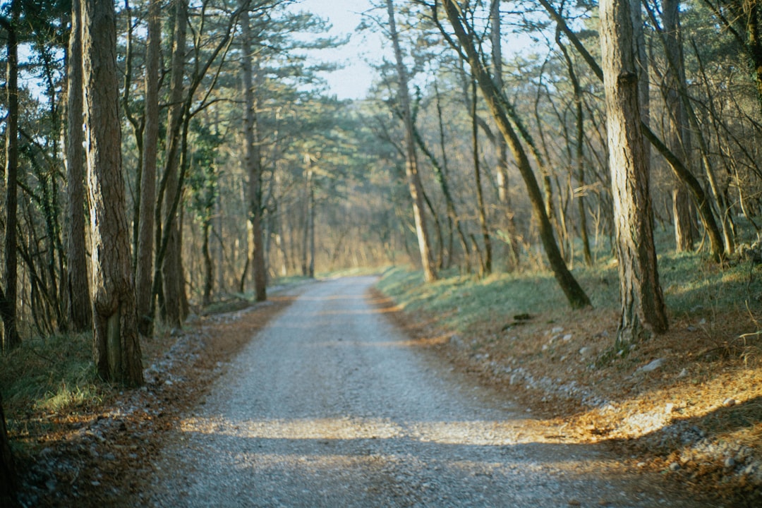 Photo running route