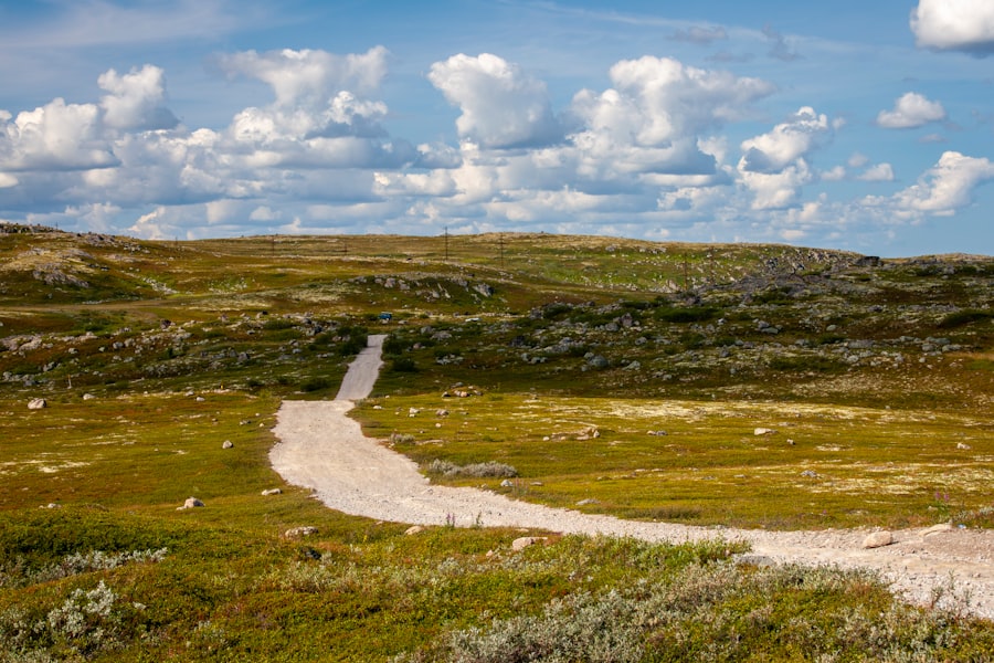 Trail running Denmark