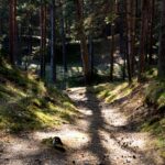 Photo Trail running Denmark